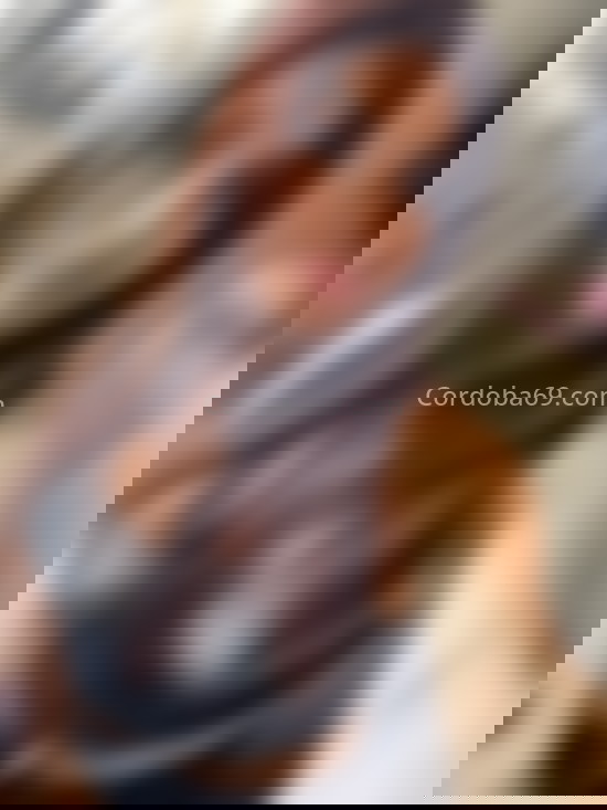 Génesis, trans latina . 697946911. Citas en CÓRDOBA, CÓRDOBA. www.cordoba69.com.