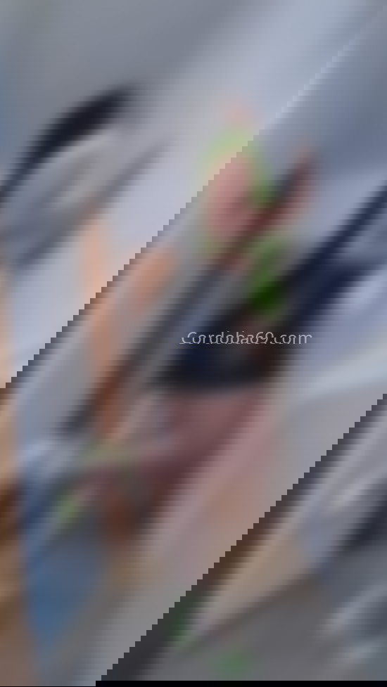 Bruna, guapa mulata recién llegada. 603920688. Citas en CÓRDOBA, CÓRDOBA. www.cordoba69.com.