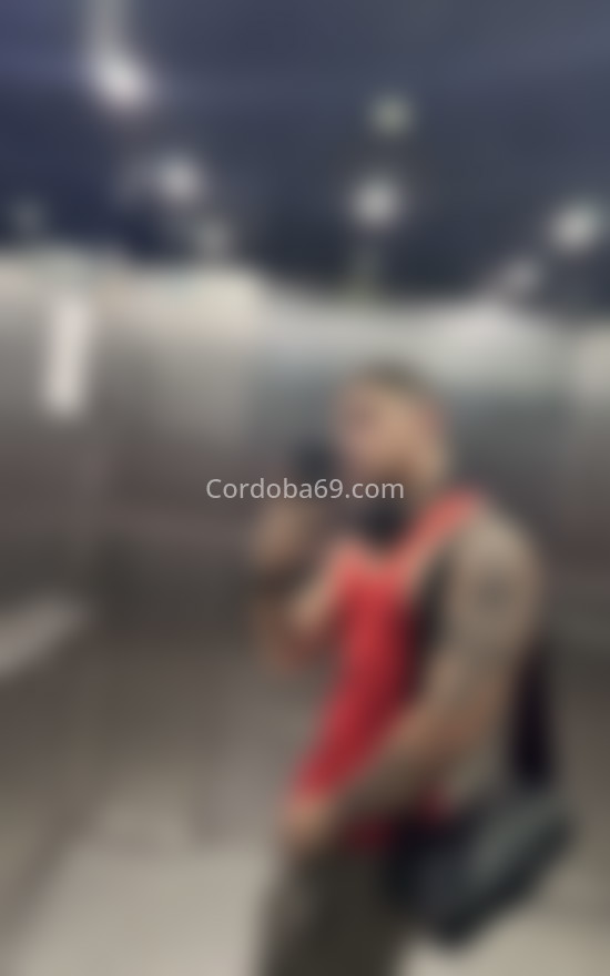 Felipe, latin masajista y acompañante . 600375113. Citas en CÓRDOBA, CÓRDOBA. www.cordoba69.com.