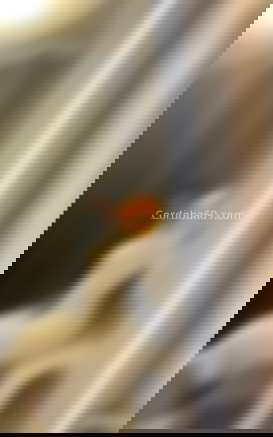 Karla. 622939793. Citas en CÓRDOBA, CÓRDOBA. www.cordoba69.com.