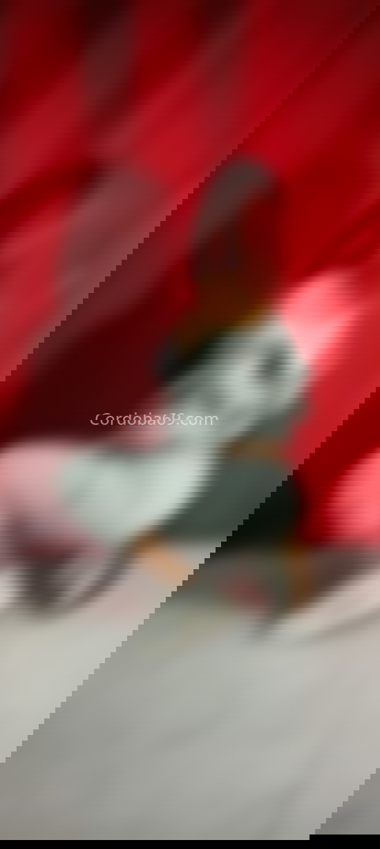 Candela, española recien llegada. 632724804. Citas en CÓRDOBA, CÓRDOBA. www.cordoba69.com.