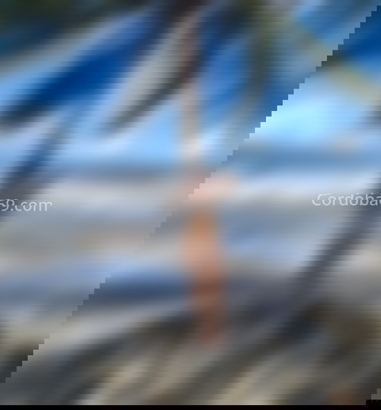 Saray . 624225023. Citas en CÓRDOBA, CÓRDOBA. www.cordoba69.com. Saray . 624225023. Citas en CÓRDOBA, CÓRDOBA. www.cordoba69.com.